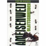 Ameisenwelt (DVD)