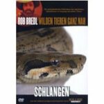 Killer Instinct - Schlangen (DVD)