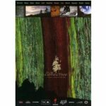The Collective (DVD)