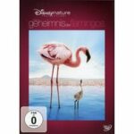 Das Geheimnis der Flamingos (Blu-ray)