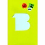 The B (DVD)