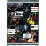 The Sends (DVD)