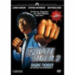 Karate Tiger 2 (DVD)