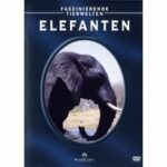Faszinierende Tierwelten - Elefanten (DVD)