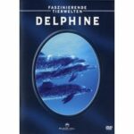 Faszinierende Tierwelten - Delphine (DVD)
