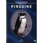 Faszinierende Tierwelten - Pinguine (DVD)