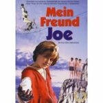Mein Freund Joe (DVD)