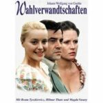 Wahlverwandtschaften (DVD)