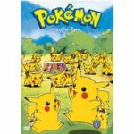 Pokémon 12 (DVD)
