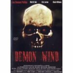 Demon Wind - Tanz der Dämonen (DVD)