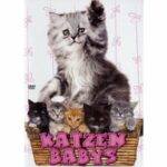 Katzenbabys (DVD)