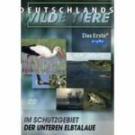 Deutschlands wilde Tiere - Im Schutzgebiet der Unteren Elbtalaue (DVD)