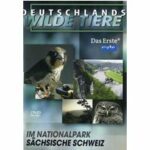 Deutschlands wilde Tiere - Im Nationalpark Hainich (DVD)