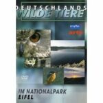 Deutschlands wilde Tiere - Im Nationalpark Eifel (DVD)