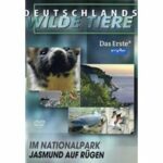 Deutschlands wilde Tiere - Im Nationalpark Jasmund auf Rügen (DVD)