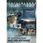 Deutschlands wilde Tiere - Im Nationalpark Harz und Hochharz (DVD)