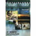 Deutschlands wilde Tiere - Im Müritz-Nationalpark (DVD)