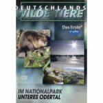 Deutschlands wilde Tiere - Im Nationalpark Unteres Odertal (DVD)