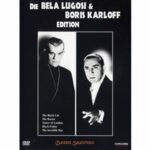 Schwarzer Freitag (DVD)