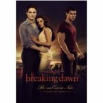 Breaking Dawn - Biss zum Ende der Nacht - Teil 1 - Extended Edition (Blu-ray)