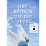 Den Engeln auf der Spur (DVD)