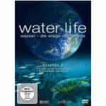 Water Life - Staffel 2 - Disc 4 - Episoden 16 - 20 (Blu-ray)