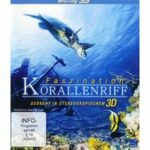 Faszination Korallenriff (Blu-ray 3D)