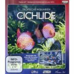 Tropische Aquarien - Cichlide (Blu-ray)