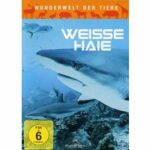 Wunderwelt der Tiere - Weiße Haie (DVD)