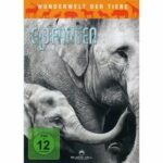 Wunderwelt der Tiere - Elefanten (DVD)