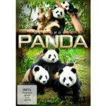 Der große Panda (Blu-ray)