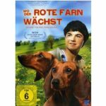 Wo der rote Farn wächst (DVD)