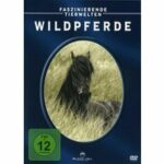 Faszinierende Tierwelten - Wildpferde (DVD)