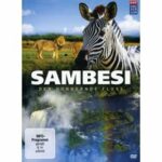 Sambesi (DVD)