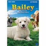 Bailey - Ein Welpe zum Verlieben (DVD)