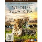 Wildlife Südafrika - Disc 1: Safari (DVD)