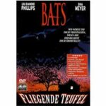 Bats (DVD)