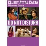 Do Not Disturb (Blu-ray)