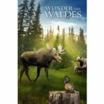 Wunder des Waldes (Blu-ray 3D)