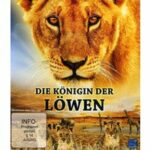 Die Königin der Löwen (Blu-ray)