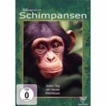 Schimpansen (Blu-ray)