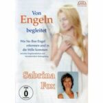 Von Engeln begleitet (DVD)