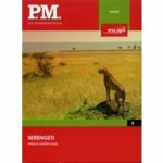 P.M. Die Wissensedition - Die Serengeti (DVD)