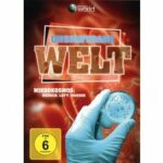 Die unsichtbare Welt (DVD)