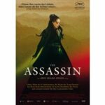 The Assassin (DVD)