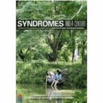 Syndromes and a Century (DVD)