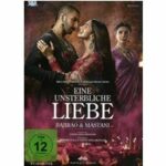 Bajirao & Mastani - Eine unsterbliche Liebe (Blu-ray)