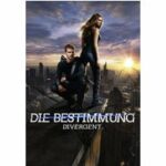 Die Bestimmung 1 - Divergent (Blu-ray)