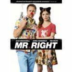 Mr. Right (Blu-ray)