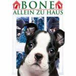 Bone - Allein zu Haus (DVD)